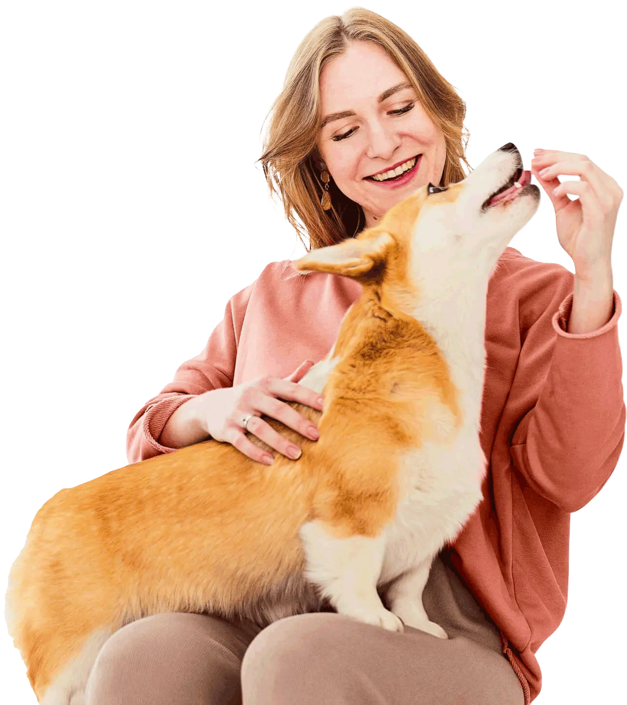 Clínica Veterinária São Camilo